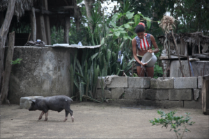 Caney de las Mercedes 2009